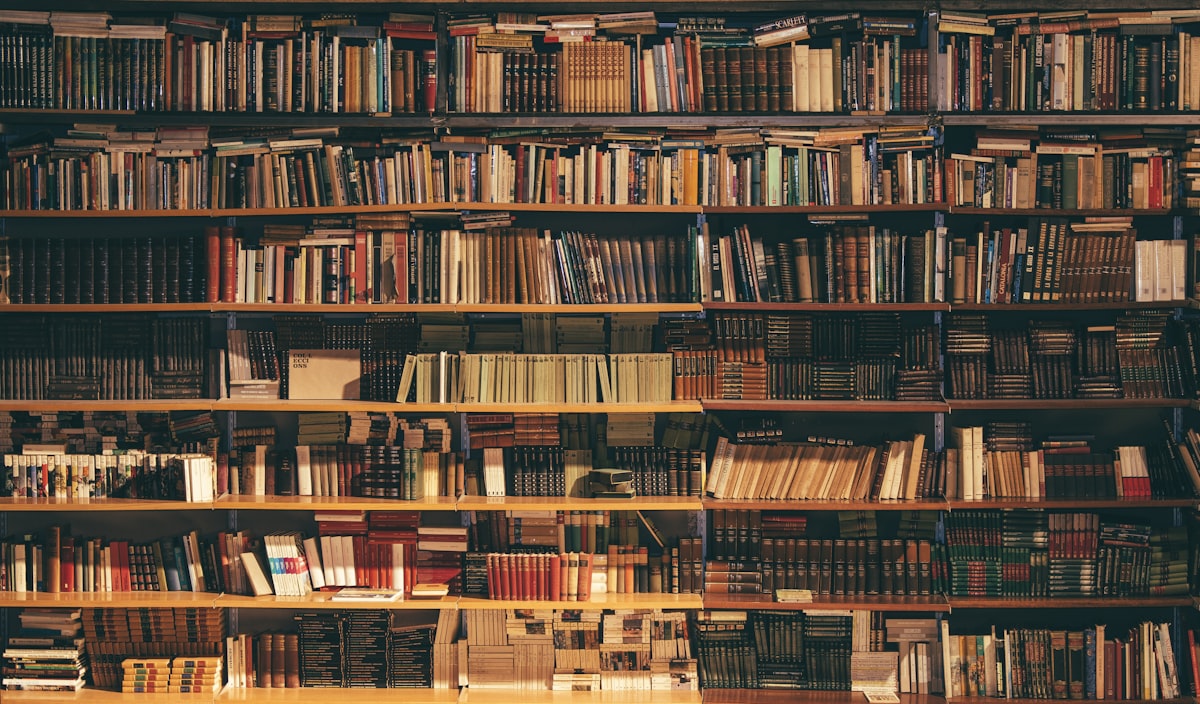 Actividad de lectura en una biblioteca comunitaria